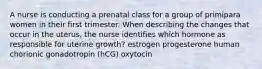 A nurse is conducting a prenatal class for a group of primipara women in their first trimester. When describing the changes that occur in the uterus, the nurse identifies which hormone as responsible for uterine growth? estrogen progesterone human chorionic gonadotropin (hCG) oxytocin