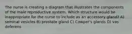 The nurse is creating a diagram that illustrates the components of the male reproductive system. Which structure would be inappropriate for the nurse to include as an accessory gland? A) seminal vesicles B) prostate gland C) Cowper's glands D) vas deferens