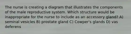 The nurse is creating a diagram that illustrates the components of the male reproductive system. Which structure would be inappropriate for the nurse to include as an accessory gland? A) seminal vesicles B) prostate gland C) Cowper's glands D) vas deferens