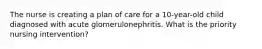 The nurse is creating a plan of care for a 10-year-old child diagnosed with acute glomerulonephritis. What is the priority nursing intervention?