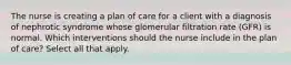 The nurse is creating a plan of care for a client with a diagnosis of nephrotic syndrome whose glomerular filtration rate (GFR) is normal. Which interventions should the nurse include in the plan of care? Select all that apply.