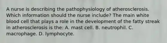 A nurse is describing the pathophysiology of atherosclerosis. Which information should the nurse include? The main white blood cell that plays a role in the development of the fatty streak in atherosclerosis is the: A. mast cell. B. neutrophil. C. macrophage. D. lymphocyte.