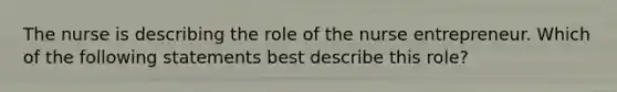 The nurse is describing the role of the nurse entrepreneur. Which of the following statements best describe this role?