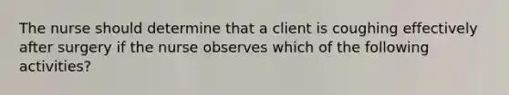 The nurse should determine that a client is coughing effectively after surgery if the nurse observes which of the following activities?