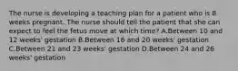 The nurse is developing a teaching plan for a patient who is 8 weeks pregnant. The nurse should tell the patient that she can expect to feel the fetus move at which time? A.Between 10 and 12 weeks' gestation B.Between 16 and 20 weeks' gestation C.Between 21 and 23 weeks' gestation D.Between 24 and 26 weeks' gestation