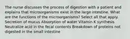 The nurse discusses the process of digestion with a patient and explains that microorganisms exist in the large intestine. What are the functions of the microorganisms? Select all that apply. Secretion of mucus Absorption of water Vitamin K synthesis Neutralize acid in the fecal contents Breakdown of proteins not digested in the small intestine