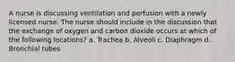 A nurse is discussing ventilation and perfusion with a newly licensed nurse. The nurse should include in the discussion that the exchange of oxygen and carbon dioxide occurs at which of the following locations? a. Trachea b. Alveoli c. Diaphragm d. Bronchial tubes