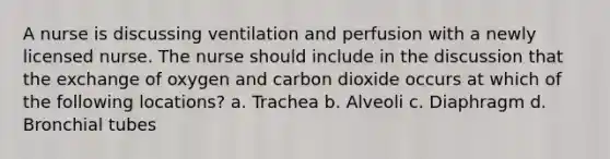 A nurse is discussing ventilation and perfusion with a newly licensed nurse. The nurse should include in the discussion that the exchange of oxygen and carbon dioxide occurs at which of the following locations? a. Trachea b. Alveoli c. Diaphragm d. Bronchial tubes