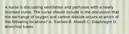 A nurse is discussing ventilation and perfusion with a newly licensed nurse. The nurse should include in the discussion that the exchange of oxygen and carbon dioxide occurs at which of the following locations? A. Trachea B. Alveoli C. Diaphragm D. Bronchial tubes