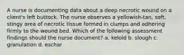 A nurse is documenting data about a deep necrotic wound on a client's left buttock. The nurse observes a yellowish-tan, soft, stingy area of necrotic tissue formed in clumps and adhering firmly to the wound bed. Which of the following assessment findings should the nurse document? a. keloid b. slough c. granulation d. eschar