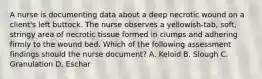 A nurse is documenting data about a deep necrotic wound on a client's left buttock. The nurse observes a yellowish-tab, soft, stringy area of necrotic tissue formed in clumps and adhering firmly to the wound bed. Which of the following assessment findings should the nurse document? A. Keloid B. Slough C. Granulation D. Eschar