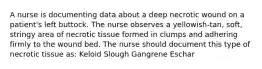 A nurse is documenting data about a deep necrotic wound on a patient's left buttock. The nurse observes a yellowish-tan, soft, stringy area of necrotic tissue formed in clumps and adhering firmly to the wound bed. The nurse should document this type of necrotic tissue as: Keloid Slough Gangrene Eschar