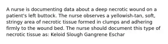 A nurse is documenting data about a deep necrotic wound on a patient's left buttock. The nurse observes a yellowish-tan, soft, stringy area of necrotic tissue formed in clumps and adhering firmly to the wound bed. The nurse should document this type of necrotic tissue as: Keloid Slough Gangrene Eschar