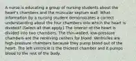 A nurse is educating a group of nursing students about the heart's chambers and the muscular septum wall. What information by a nursing student demonstrates a correct understanding about the four chambers into which the heart is divided? (Select all that apply.) The interior of the heart is divided into two chambers. The thin-walled, low-pressure chambers are the receiving centers for blood. Ventricles are high-pressure chambers because they pump blood out of the heart. The left ventricle is the thickest chamber and it pumps blood to the rest of the body.