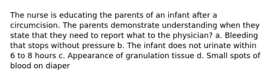 The nurse is educating the parents of an infant after a circumcision. The parents demonstrate understanding when they state that they need to report what to the physician? a. Bleeding that stops without pressure b. The infant does not urinate within 6 to 8 hours c. Appearance of granulation tissue d. Small spots of blood on diaper