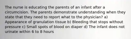 The nurse is educating the parents of an infant after a circumcision. The parents demonstrate understanding when they state that they need to report what to the physician? a) Appearance of granulation tissue b) Bleeding that stops without pressure c) Small spots of blood on diaper d) The infant does not urinate within 6 to 8 hours