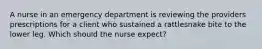 A nurse in an emergency department is reviewing the providers prescriptions for a client who sustained a rattlesnake bite to the lower leg. Which should the nurse expect?