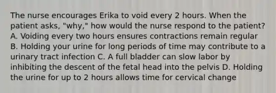 The nurse encourages Erika to void every 2 hours. When the patient asks, "why," how would the nurse respond to the patient? A. Voiding every two hours ensures contractions remain regular B. Holding your urine for long periods of time may contribute to a urinary tract infection C. A full bladder can slow labor by inhibiting the descent of the fetal head into the pelvis D. Holding the urine for up to 2 hours allows time for cervical change