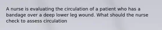 A nurse is evaluating the circulation of a patient who has a bandage over a deep lower leg wound. What should the nurse check to assess circulation