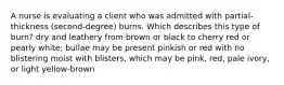 A nurse is evaluating a client who was admitted with partial-thickness (second-degree) burns. Which describes this type of burn? dry and leathery from brown or black to cherry red or pearly white; bullae may be present pinkish or red with no blistering moist with blisters, which may be pink, red, pale ivory, or light yellow-brown