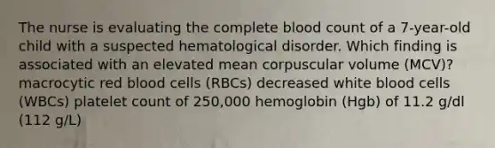 The nurse is evaluating the complete blood count of a 7-year-old child with a suspected hematological disorder. Which finding is associated with an elevated mean corpuscular volume (MCV)? macrocytic red blood cells (RBCs) decreased white blood cells (WBCs) platelet count of 250,000 hemoglobin (Hgb) of 11.2 g/dl (112 g/L)