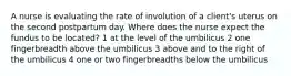 A nurse is evaluating the rate of involution of a client's uterus on the second postpartum day. Where does the nurse expect the fundus to be located? 1 at the level of the umbilicus 2 one fingerbreadth above the umbilicus 3 above and to the right of the umbilicus 4 one or two fingerbreadths below the umbilicus