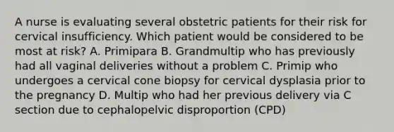 A nurse is evaluating several obstetric patients for their risk for cervical insufficiency. Which patient would be considered to be most at risk? A. Primipara B. Grandmultip who has previously had all vaginal deliveries without a problem C. Primip who undergoes a cervical cone biopsy for cervical dysplasia prior to the pregnancy D. Multip who had her previous delivery via C section due to cephalopelvic disproportion (CPD)