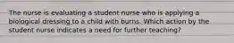 The nurse is evaluating a student nurse who is applying a biological dressing to a child with burns. Which action by the student nurse indicates a need for further teaching?