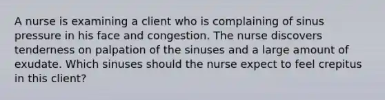 A nurse is examining a client who is complaining of sinus pressure in his face and congestion. The nurse discovers tenderness on palpation of the sinuses and a large amount of exudate. Which sinuses should the nurse expect to feel crepitus in this client?