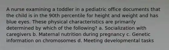 A nurse examining a toddler in a pediatric office documents that the child is in the 90th percentile for height and weight and has blue eyes. These physical characteristics are primarily determined by which of the following? a. Socialization with caregivers b. Maternal nutrition during pregnancy c. Genetic information on chromosomes d. Meeting developmental tasks