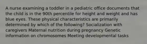 A nurse examining a toddler in a pediatric office documents that the child is in the 90th percentile for height and weight and has blue eyes. These physical characteristics are primarily determined by which of the following? Socialization with caregivers Maternal nutrition during pregnancy Genetic information on chromosomes Meeting developmental tasks