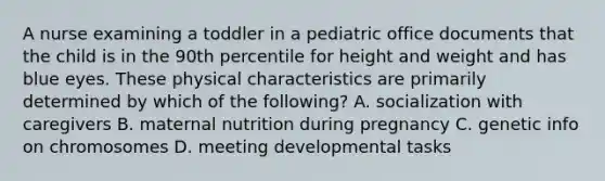 A nurse examining a toddler in a pediatric office documents that the child is in the 90th percentile for height and weight and has blue eyes. These physical characteristics are primarily determined by which of the following? A. socialization with caregivers B. maternal nutrition during pregnancy C. genetic info on chromosomes D. meeting developmental tasks