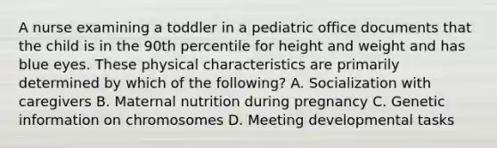 A nurse examining a toddler in a pediatric office documents that the child is in the 90th percentile for height and weight and has blue eyes. These physical characteristics are primarily determined by which of the following? A. Socialization with caregivers B. Maternal nutrition during pregnancy C. Genetic information on chromosomes D. Meeting developmental tasks