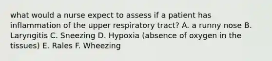 what would a nurse expect to assess if a patient has inflammation of the upper respiratory tract? A. a runny nose B. Laryngitis C. Sneezing D. Hypoxia (absence of oxygen in the tissues) E. Rales F. Wheezing