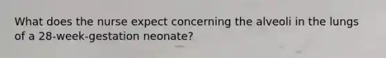 What does the nurse expect concerning the alveoli in the lungs of a 28-week-gestation neonate?