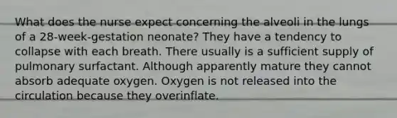 What does the nurse expect concerning the alveoli in the lungs of a 28-week-gestation neonate? They have a tendency to collapse with each breath. There usually is a sufficient supply of pulmonary surfactant. Although apparently mature they cannot absorb adequate oxygen. Oxygen is not released into the circulation because they overinflate.