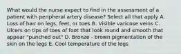 What would the nurse expect to find in the assessment of a patient with peripheral artery disease? Select all that apply A. Loss of hair on legs, feet, or toes B. Visible varicose veins C. Ulcers on tips of toes of foot that look round and smooth that appear "punched out" D. Bronze - brown pigmentation of the skin on the legs E. Cool temperature of the legs