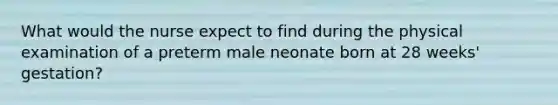 What would the nurse expect to find during the physical examination of a preterm male neonate born at 28 weeks' gestation?