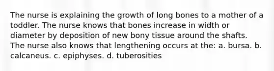 The nurse is explaining the growth of long bones to a mother of a toddler. The nurse knows that bones increase in width or diameter by deposition of new bony tissue around the shafts. The nurse also knows that lengthening occurs at the: a. bursa. b. calcaneus. c. epiphyses. d. tuberosities