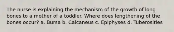 The nurse is explaining the mechanism of the growth of long bones to a mother of a toddler. Where does lengthening of the bones occur? a. Bursa b. Calcaneus c. Epiphyses d. Tuberosities