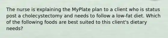 The nurse is explaining the MyPlate plan to a client who is status post a cholecystectomy and needs to follow a low-fat diet. Which of the following foods are best suited to this client's dietary needs?