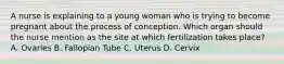 A nurse is explaining to a young woman who is trying to become pregnant about the process of conception. Which organ should the nurse mention as the site at which fertilization takes place? A. Ovaries B. Fallopian Tube C. Uterus D. Cervix