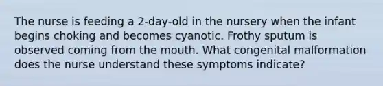 The nurse is feeding a 2-day-old in the nursery when the infant begins choking and becomes cyanotic. Frothy sputum is observed coming from the mouth. What congenital malformation does the nurse understand these symptoms indicate?