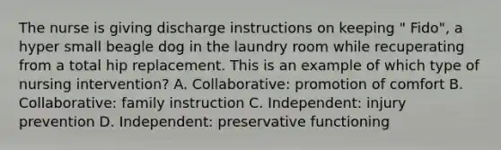 The nurse is giving discharge instructions on keeping " Fido", a hyper small beagle dog in the laundry room while recuperating from a total hip replacement. This is an example of which type of nursing intervention? A. Collaborative: promotion of comfort B. Collaborative: family instruction C. Independent: injury prevention D. Independent: preservative functioning