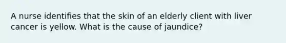 A nurse identifies that the skin of an elderly client with liver cancer is yellow. What is the cause of jaundice?