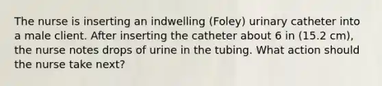 The nurse is inserting an indwelling (Foley) urinary catheter into a male client. After inserting the catheter about 6 in (15.2 cm), the nurse notes drops of urine in the tubing. What action should the nurse take next?