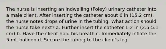 The nurse is inserting an indwelling (Foley) urinary catheter into a male client. After inserting the catheter about 6 in (15.2 cm), the nurse notes drops of urine in the tubing. What action should the nurse take next? a. Further insert the catheter 1-2 in (2.5-5.1 cm) b. Have the client hold his breath c. Immediately inflate the 5 mL balloon d. Secure the tubing to the client's leg