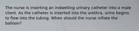 The nurse is inserting an indwelling urinary catheter into a male client. As the catheter is inserted into the urethra, urine begins to flow into the tubing. When should the nurse inflate the balloon?