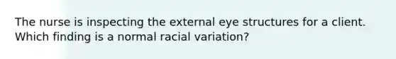 The nurse is inspecting the external eye structures for a client. Which finding is a normal racial variation?