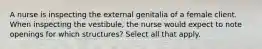 A nurse is inspecting the external genitalia of a female client. When inspecting the vestibule, the nurse would expect to note openings for which structures? Select all that apply.